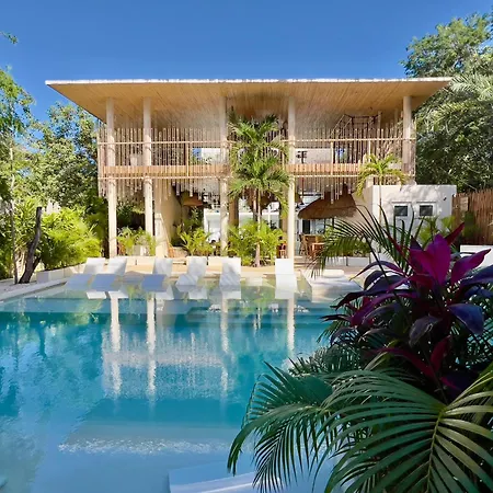 Studios In Tulum By Casago